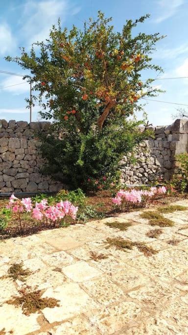 Trullo Mami Villa Putignano Dış mekan fotoğraf