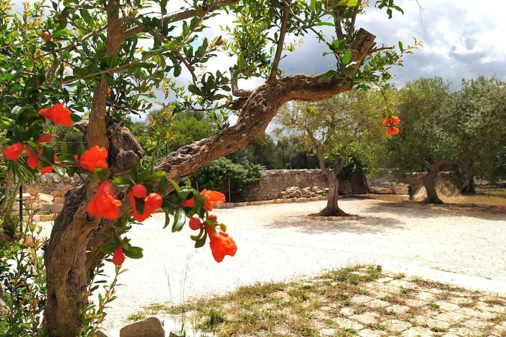 Trullo Mami Villa Putignano Dış mekan fotoğraf