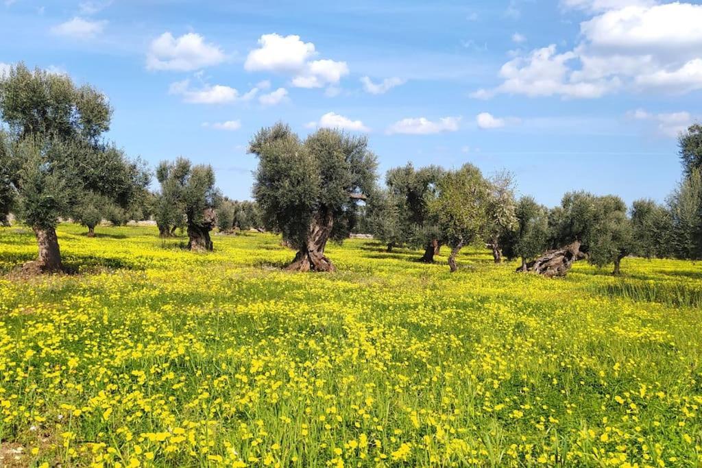 Trullo Mami Villa Putignano Dış mekan fotoğraf